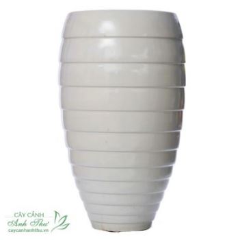 Chậu con ve