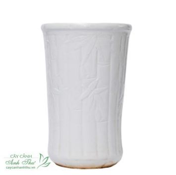 Chậu đốt trúc