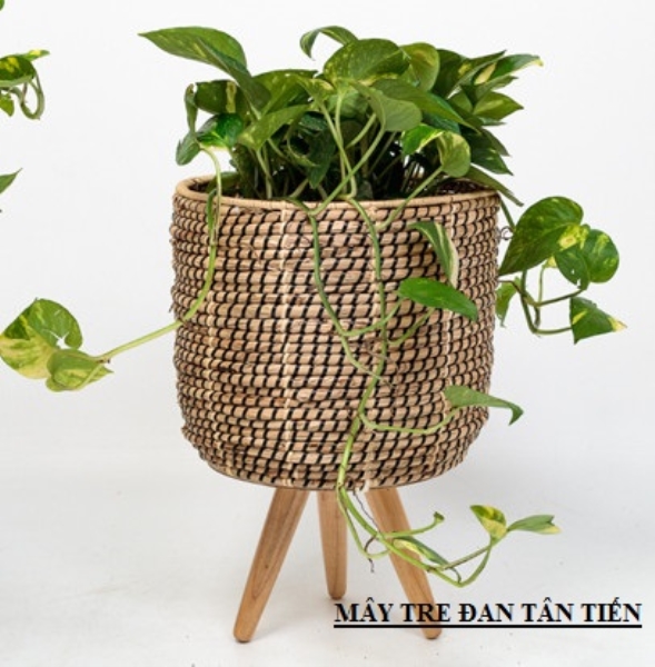 Chậu trồng cây mây tre đan
