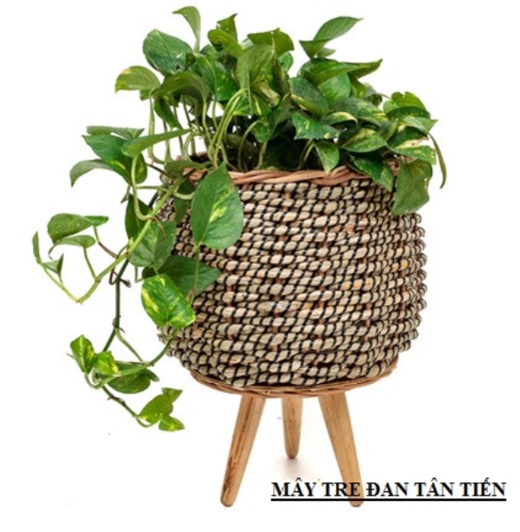 Chậu trồng cây mây tre đan