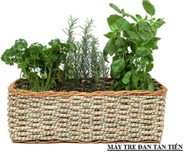 Chậu trồng cây mây tre đan