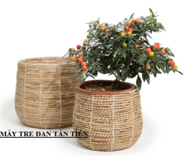Chậu trồng cây mây tre đan