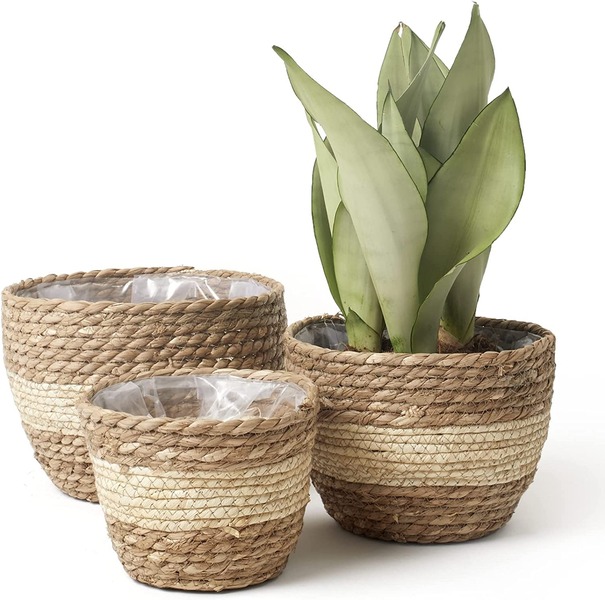 Giỏ trồng cây đan bằng cói