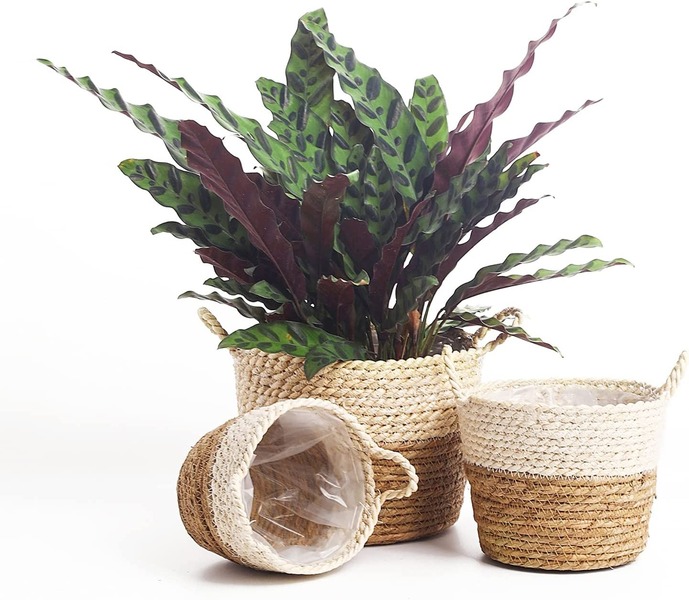 Giỏ trồng cây đan bằng cói