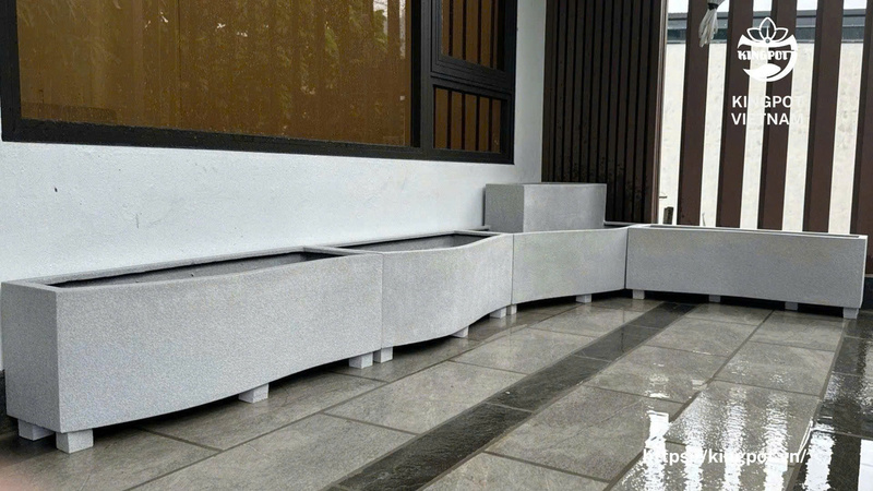 Chậu cong