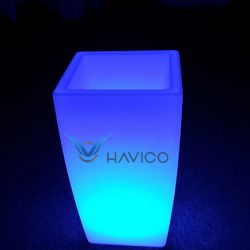 Chậu hoa phát sáng