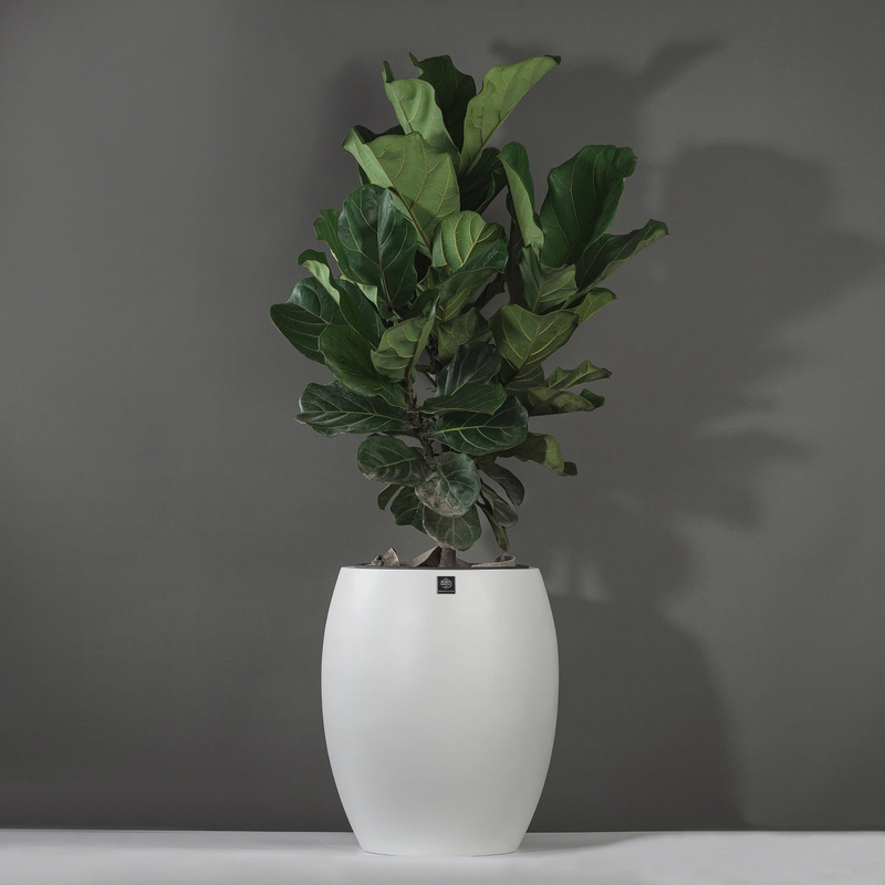Chậu Composite tròn