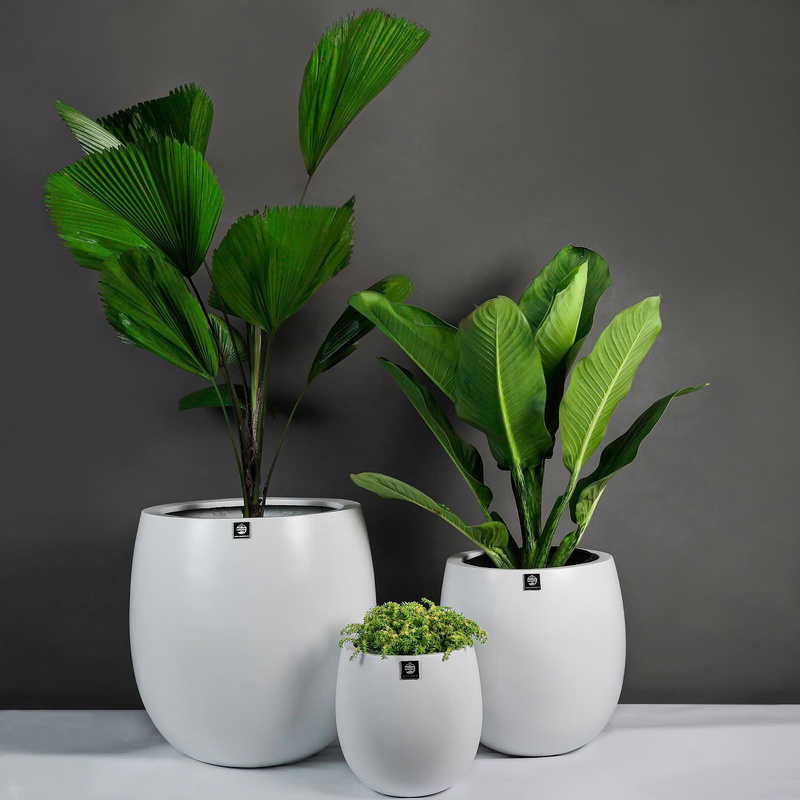 Chậu Composite tròn