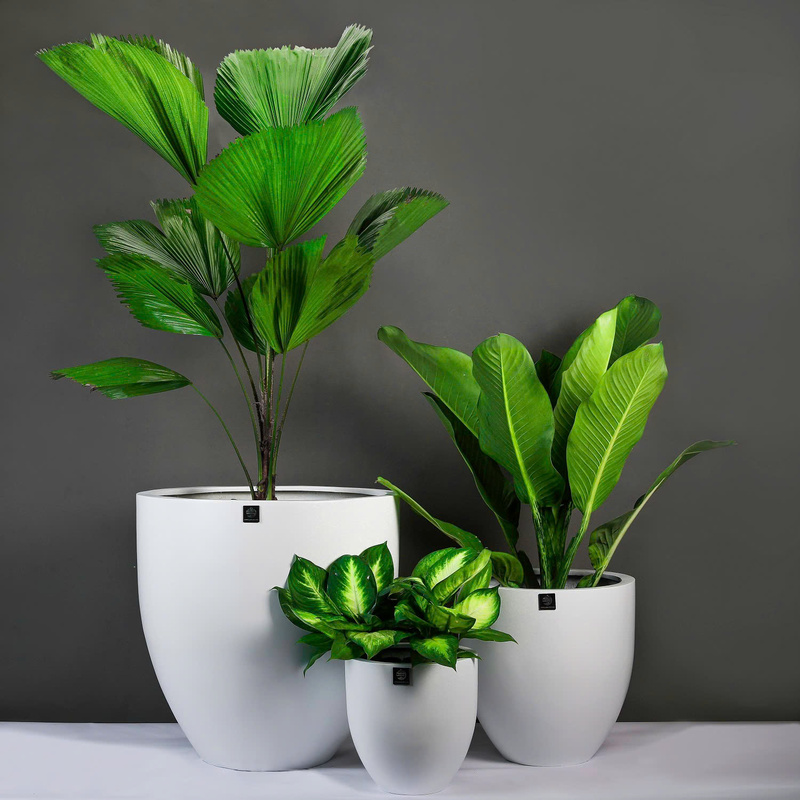 Chậu Composite tròn