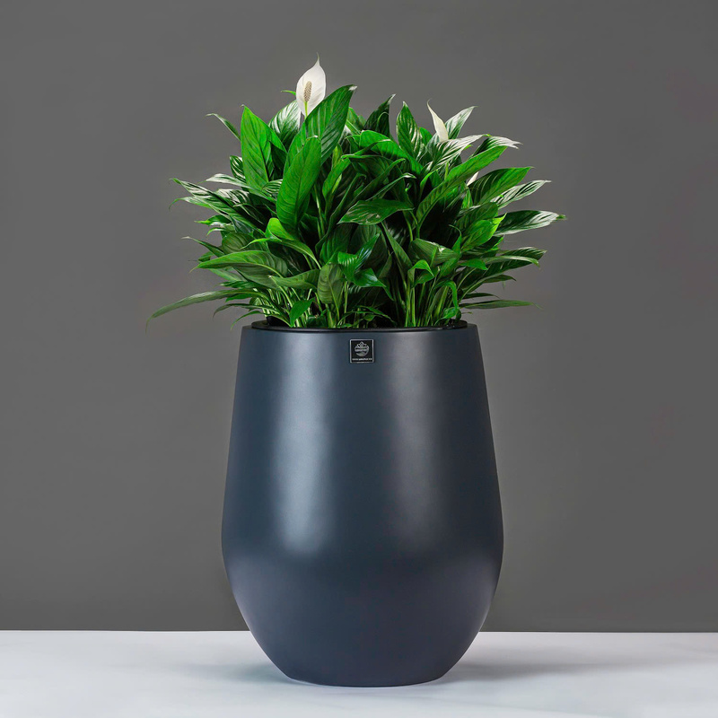 Chậu Composite tròn