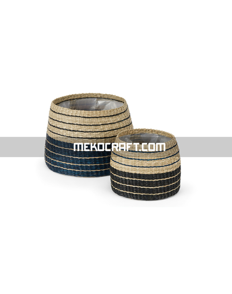 Chậu trồng cây cói có lót nilon