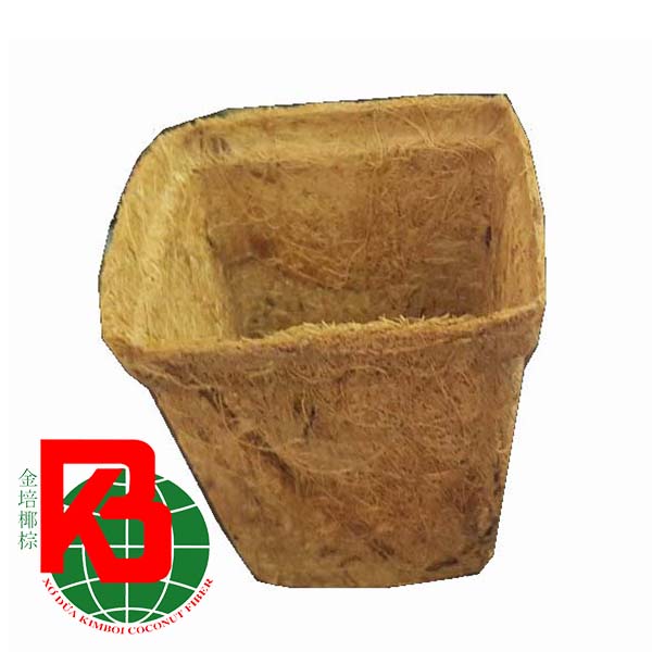 Chậu xơ dừa 10x10cm