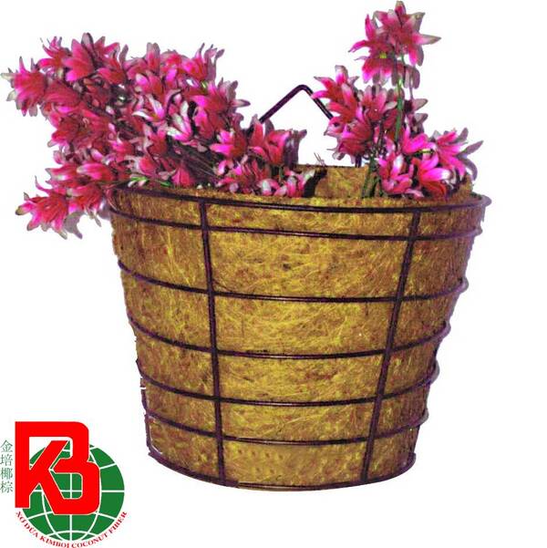 Chậu xơ dừa treo tường