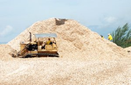 Chế biến dăm gỗ