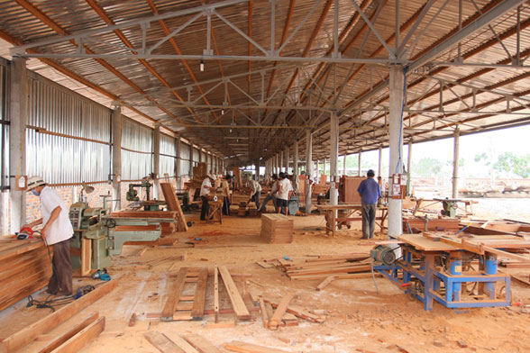 Dây Curoa ngành gỗ