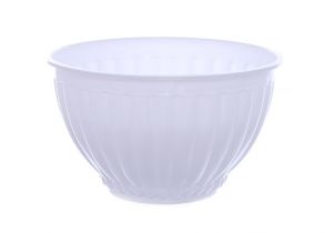 Chén nhựa