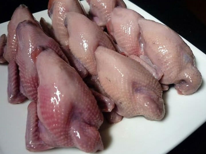 Chim cút