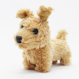 Chó lông xù Poodle