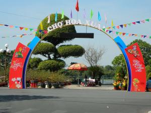 Chợ hoa xuân Bình Dương năm 2016