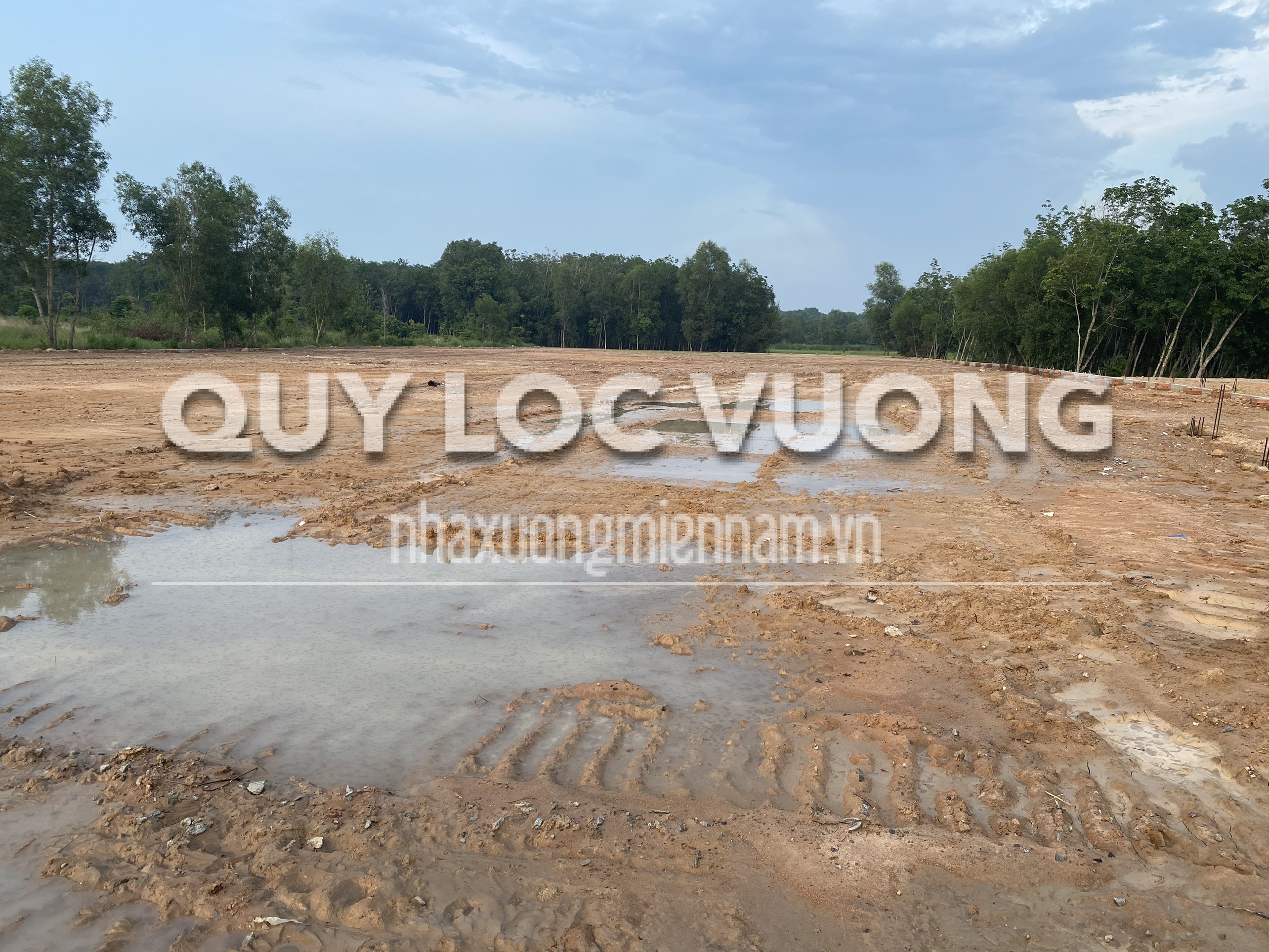 Cho thuê đất trồng 8.000m2 ở Tân Định, Bến Cát, Bình Dương