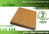 Chò chỉ