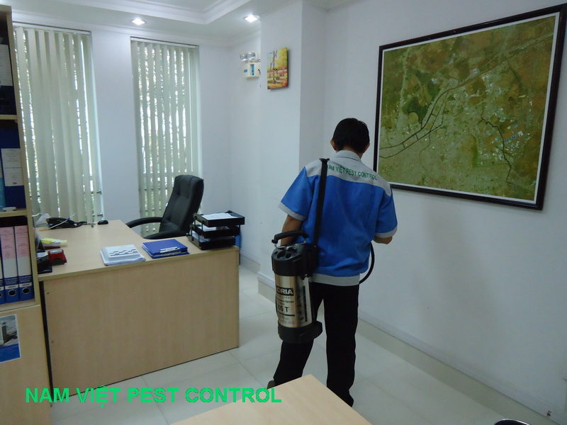 Dịch vụ diệt côn trùng