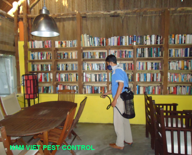 Dịch vụ diệt côn trùng