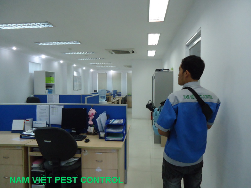 Dịch vụ diệt côn trùng
