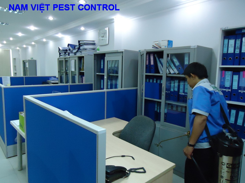 Dịch vụ diệt côn trùng