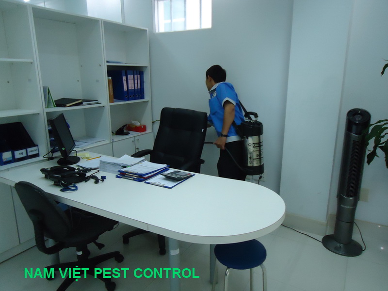 Dịch vụ diệt côn trùng