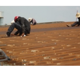 Thi công chống dột nhà xưởng
