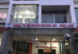 Chữ nổi văn phòng HAGL