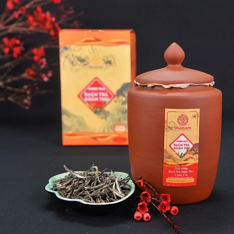 Chum bạch trà xuân thu