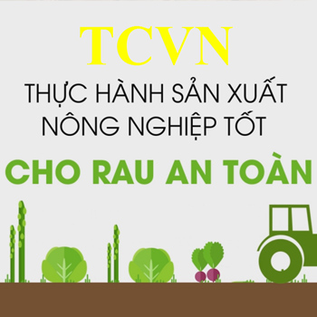 资质或荣誉图片