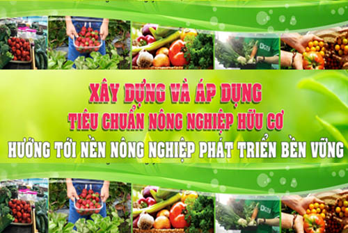 资质或荣誉图片