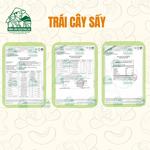资质或荣誉图片