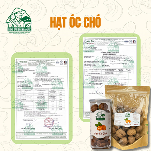 资质或荣誉图片