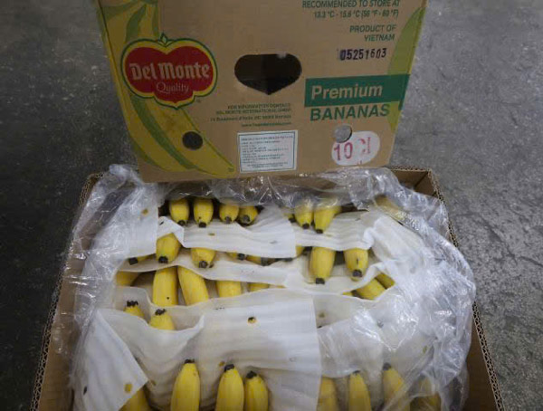 Chuối