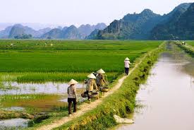 Tư vấn chuyển đổi đất nông nghiệp
