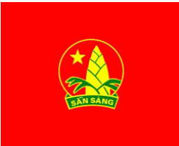 Cờ đội