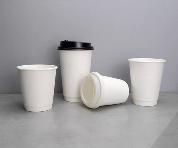 Cốc 2 lớp trắng 16oz không in
