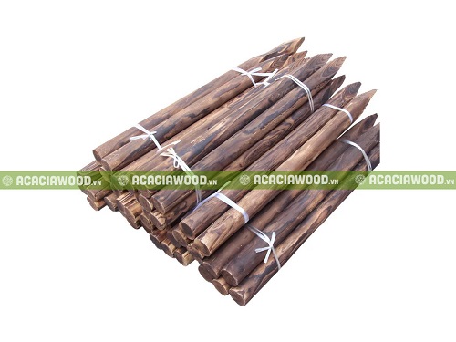 Cọc gô keo