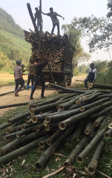 Cọc loại 1