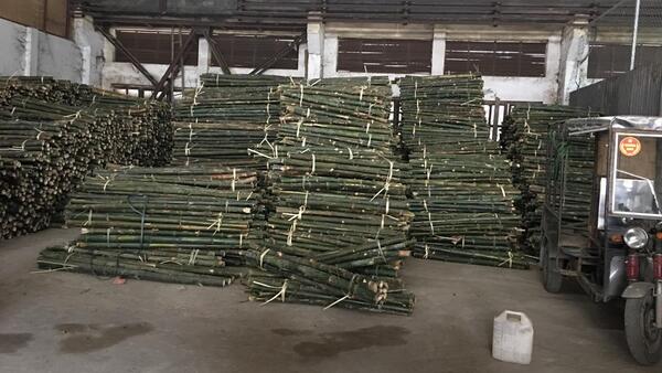 Cọc loại 2