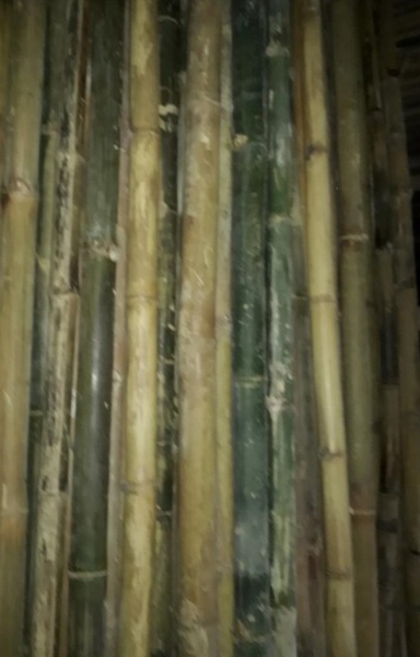 Cọc loại 3
