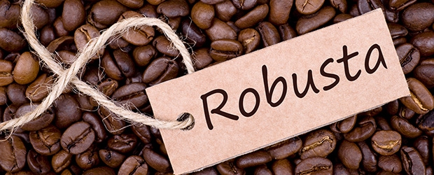 Cà Phê Robusta