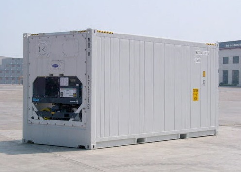 Container lạnh 20RF