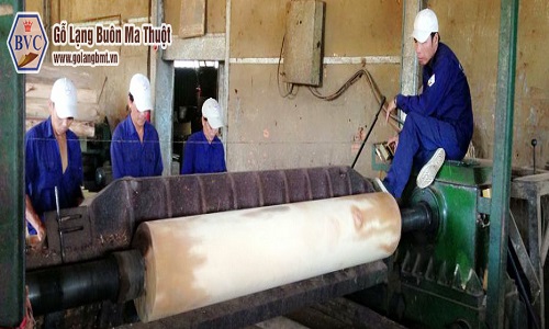 Công nhân sản xuất