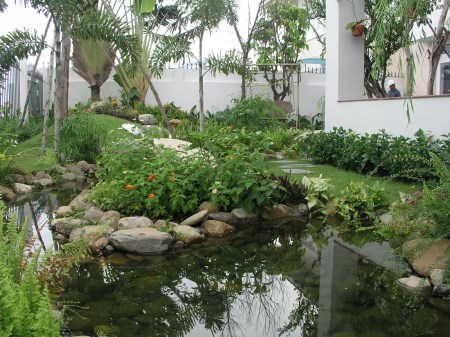 Dịch vụ cảnh quan