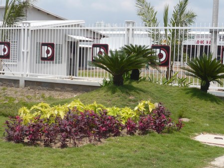 Dịch vụ cảnh quan